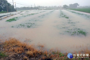 遭到大雷雨侵襲，桃園市沿海地區楊梅、觀音、新屋一帶低窪處農田一片汪洋，瓜田慘遭水淹。