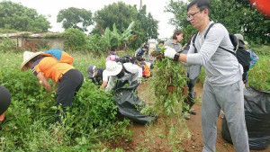 中市辦銀膠菊移除防治訓練　提升民眾生態環境意識