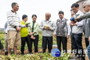 蘇院長手持受損瓜果
