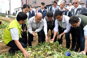 行政院長蘇貞昌前往桃園市新屋區及觀音區視察五月豪雨農作物瓜果災損情形。