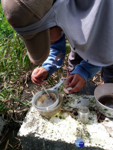 新增第二例本土日本腦炎，加強防蚊及攜幼兒按時接種疫苗。