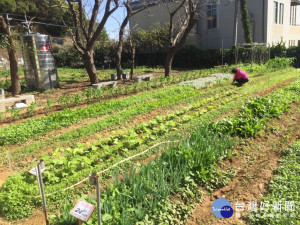 台中市環保局環保農園最新一梯次推出30個名額，正開放報名中。(圖/臺中市政府)