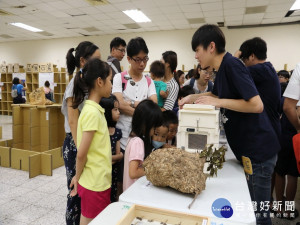 興大昆蟲展的蜂巢。林重鎣攝