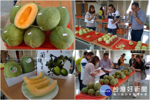 壯圍鄉108年瓜果品質競賽評出優勝名單。（圖／壯圍鄉農會提供）