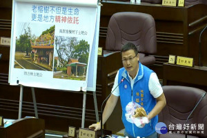 腐朽路樹壓死老嫗　　桃市議員林昭賢籲市府重視路樹安全維護