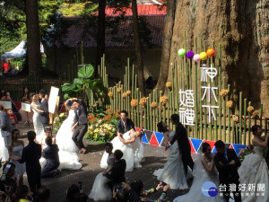 阿里山香林神木周邊工程再獲殊榮