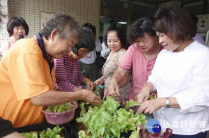 嘉市衛生所長照巷弄站聯合揭牌，市長黃敏惠與阿公阿嬤開心摘菜。