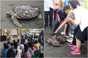 誤觸漁網的海龜在縣長林姿妙與岳明國小師生的加油聲中回歸大海。（圖／宜蘭縣政府提供）