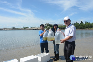 澎湖放流1.5萬沙蟹苗　充實漁業資源