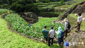 秋行軍蟲防疫進入第二階段　北市產業局籲農民仍要巡檢通報及配合噴藥