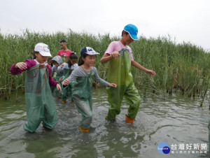 「濕地探險家」夏令營，深入濕地，穿上青蛙裝完成沼澤冒險