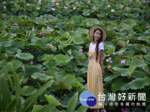 
2019盛夏艷事 中社荷花美人攝影比賽，五百多位攝影團體與遊客在二千多坪白、粉、桃紅等色的荷花爭睹美色，萬朵荷花迎風搖曳，悠然的花姿，加上莊嚴端裝的睡蓮，麗姿美的模特兒，讓遊客流連忘返。（記者陳榮昌攝）



