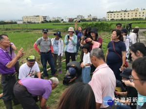 農友解說如何綁棲架。林重鎣攝