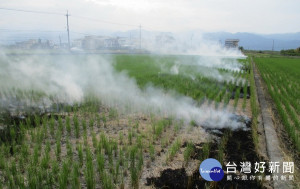 就地燒稻草會燒掉農田有機質及微生物。（圖／宜蘭縣環保局提供）