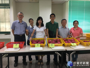 評審對名間紅龍果品質給予肯定。（記者扶小萍攝）