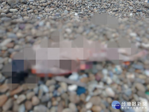 大園新街溪出海口發現男性屍體，警方公布特徵協尋家屬。