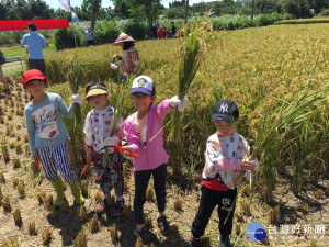 一百多位支持友善耕種的民眾，在楊梅區清辰農場辦理「耕一畝友善農田」收割活動。

