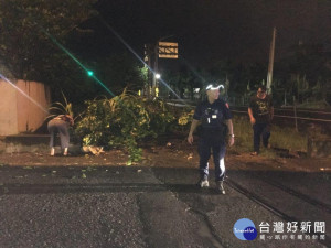 連日豪雨樹倒　屏警冒雨交管移樹維護用路人安全