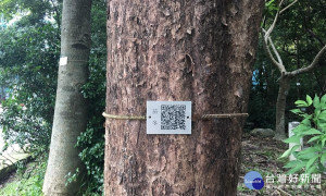 科博館植物園樹上掛有QR code，讓民眾用手機掃描就可以認識這些植物的背景資料。(圖/記者王丰和攝)