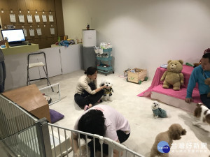 北市輔導動物安養機構　協助飼主照護寵物安寧終老