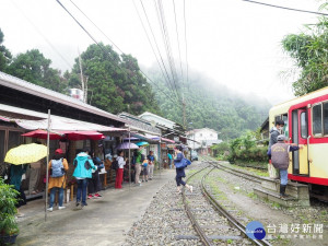 阿里山四季茶旅 夏季森林茶會 消暑上山 品茗創意夏日節氣茶