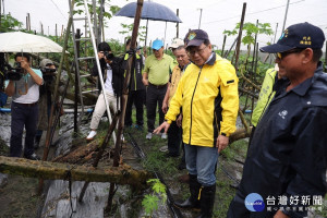 豪雨不斷造成農損　潘孟安勘災籲盡速陳報