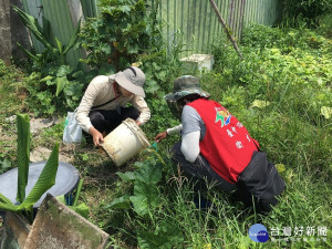 預防登革熱　中市推主動通報獎勵