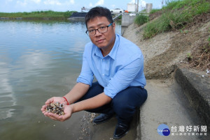 南縣區漁會總幹事陳崇德表示，極端氣候造成文蛤產量銳減。