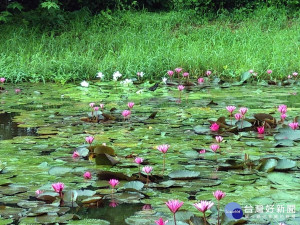 中秋賞月好去處　屏東麟洛濕地水色風光（圖／屏東縣政府提供）