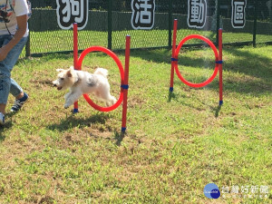 打造動物友善城市　台北北勢湖狗活動區啟用