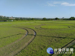 因應大溪花彩節的到來，主場地月眉地區已撤下種子並配合造型。
