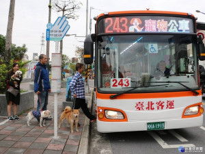 新北市交通局新增7條假日寵物公車路線，放寬載運寵物規定，讓飼主可直接牽繩帶著毛小孩搭公車