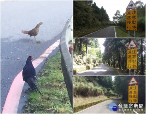 宜專一線及翠峰林道沿線設有注意野生動物告示牌。（圖／羅東林管處提供）