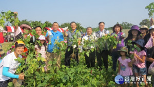 為推廣農民栽培觀摩，桃園市新屋區農會辦理「豆陣豆熱鬧」活動，以「大豆」為主題。