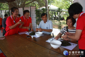 遊客先學檢茶枝與茶的接觸。（記者扶小萍攝）