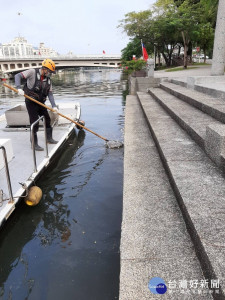 高雄愛河中都紅橋以南出現大量死魚，環保局清潔人員打撈魚屍。