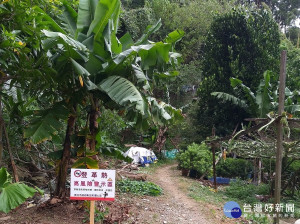 市府除持續針對坡内里風險菜園進行長效性藥物噴消及孳生源清除與容器減量外，並已於風險菜園周邊設立警示牌加強防蚊宣導與民眾健康監測