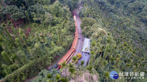 林鐵主題列車《洋溢。崎步走》，旅讀林業底蘊風華