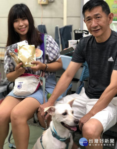 動保處為矯正行為偏差或較難親人舉止之居家犬，於板橋動物之家舉行教育訓練。