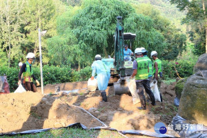 狗鼻檢定加藥劑防治，褐根病防治不馬虎