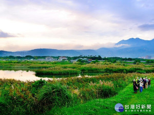 台北市水利處推出初冬溼地一日遊，帶領民眾暢遊社子島溼地（圖／台北市水利處提供）