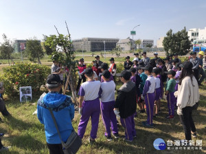 護樹最佳季節到了 健檢列車開到台南學東公園囉!