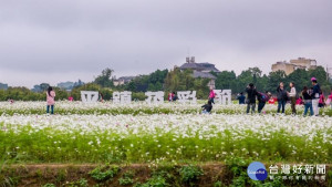 桃園花彩節平鎮展區預期將再掀起網路社群搶拍風潮

