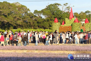 桃園仙草花節於11月23日至12月8日開展，為期16天的活動以「花漾楊梅仙境遊」為主題。

