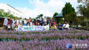 桃園仙草花節登場，為了增加遊客的深度體驗，楊梅區公所特別規劃【仙草香氛 仙旅奇緣】小旅行

