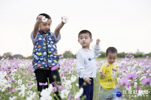 季節限定花海節 小孩放電、全家賞花好所在