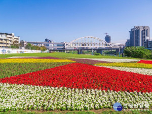 成功橋下花海區（圖／台北市水利處提供）