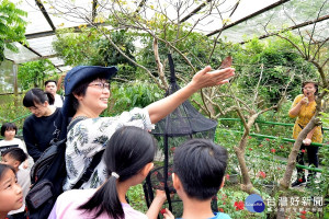 埔里鎮的好山、好水、好氣候，提供了絕佳的昆蟲生活資源，木生昆蟲博物館互動式的導覽課程，讓大人小孩皆驚呼連連。