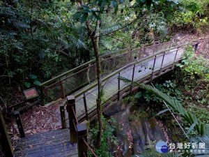 中市蝙蝠洞登山步道部分封閉施工　預計明年6月完工