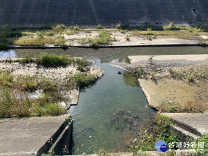 灌溉溝水變綠頻傳  楊典忠議員促市府嚴查